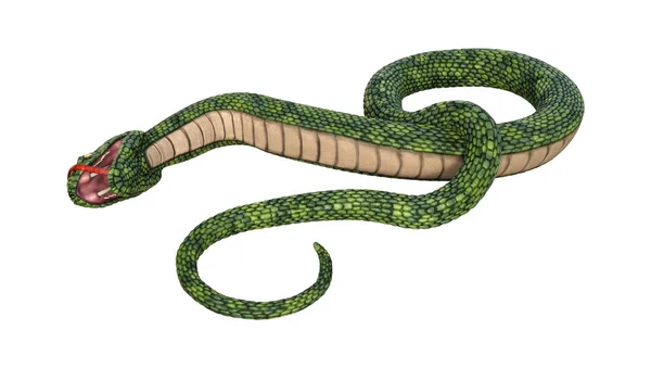 Rendering Serpente Fantasy Gigante Verde Isolato Sfondo Bianco — Foto Stock