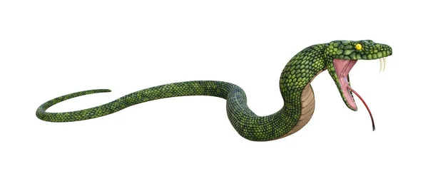 白い背景に隔離された緑の巨大なファンタジーヘビの3Dレンダリング — ストック写真