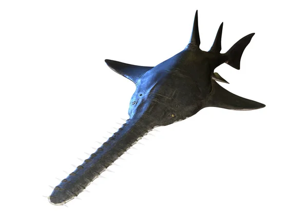渲染的 Onchorisiss 一个已灭绝的巨型菌青树锯鱼的属 在白色的背景中被隔离 — 图库照片