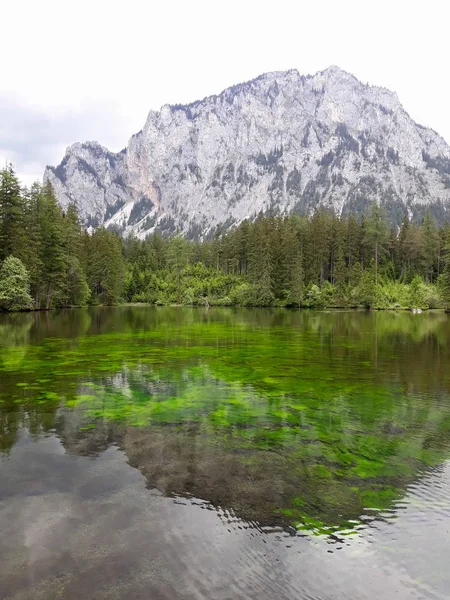 Styria Estado Montanhoso Florestado Sul Áustria — Fotografia de Stock