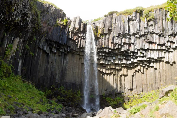 Svartifoss Padá Letní Sezóně Pohled Island Islandská Krajina — Stock fotografie