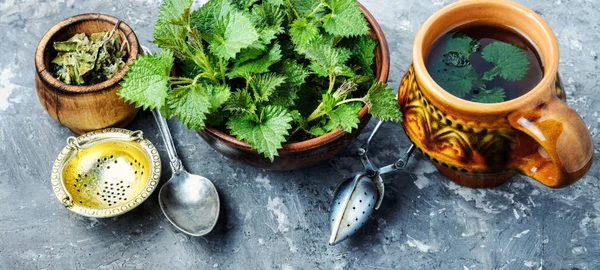 Tasse Gesunden Kräutertee Mit Brennnessel Tee Mit Brennnessel Frische Brennnesseln — Stockfoto