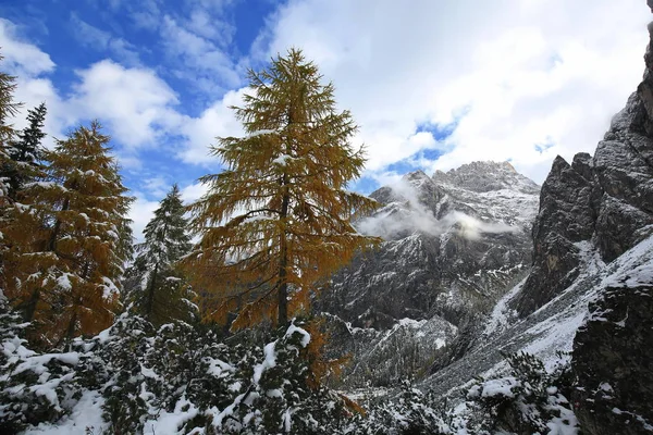 Fischleinbachtal Est Une Place Dans Les Dolomites — Photo