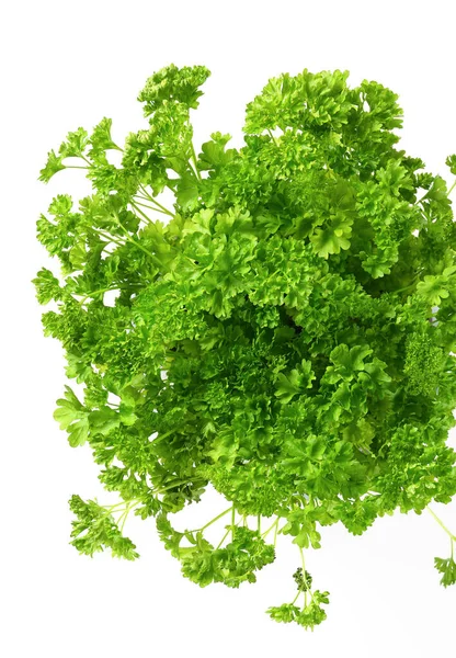 Clumps Fresh Parsley White Background — Stok Foto