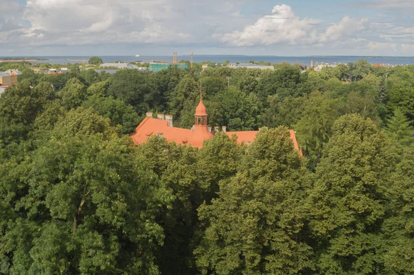 Óváros Történelmi Utca Tallinn Észtország — Stock Fotó