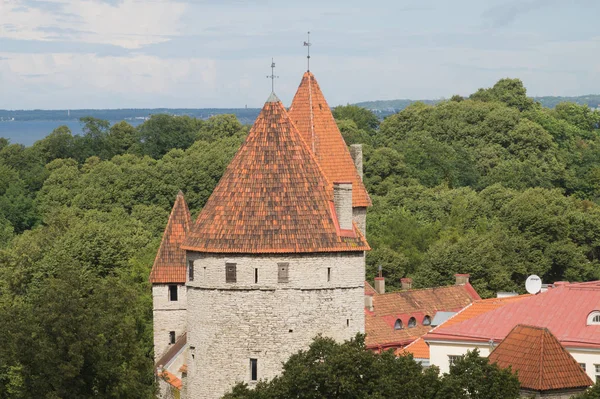 Cityscape Com Antigas Esteiras Castelo Tallinn Estónia — Fotografia de Stock