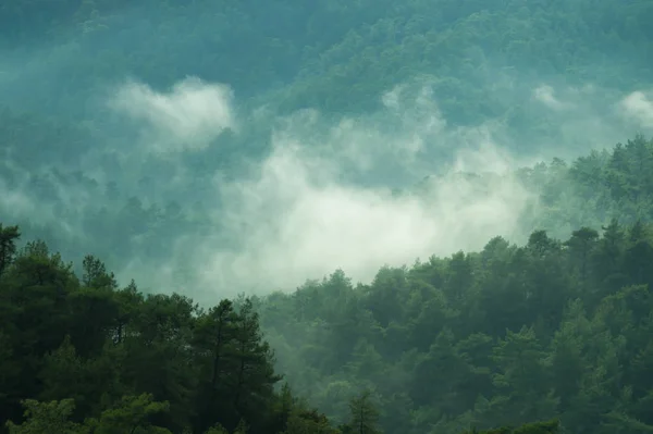 Paisaje Montaña Con Fondo Forestal — Foto de Stock