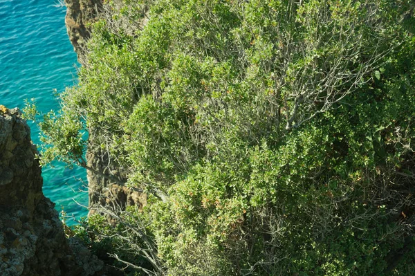 Hintergrund Der Berg Und Meeresküste — Stockfoto