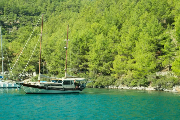 Loisirs Sur Bateau Près Rivage Une Montagne — Photo