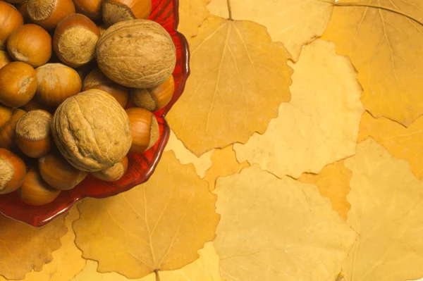 Hazelnuts Walnuts Autumn Leaves Background Copy Space — Stock Photo, Image