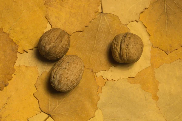 Noci Con Fondo Foglie Autunnali — Foto Stock