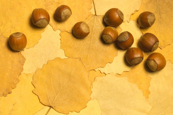 Hazelnuts Autumn Leaves Background — Stock Photo, Image