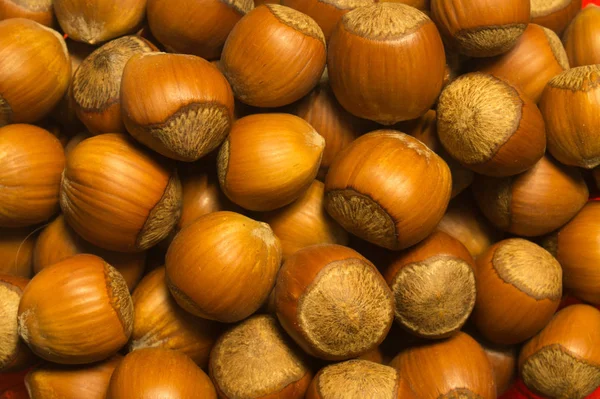 Hazelnuts Texture Background Filbert Nuts Macro — Stock Photo, Image