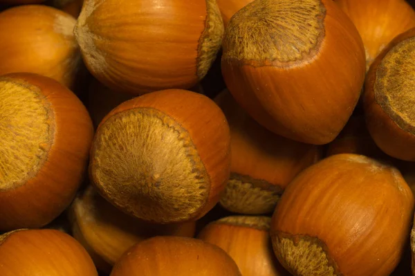 Hasselnötter Konsistens Bakgrund Filbert Nötter Makro — Stockfoto