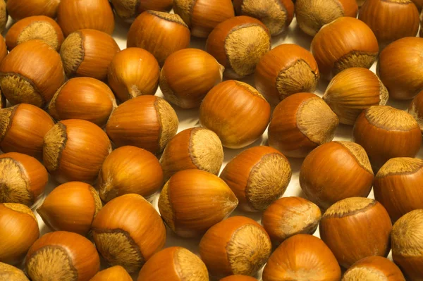 Φουντούκια Φόντο Υφή Φίλμπερτ Nuts Μακρο — Φωτογραφία Αρχείου