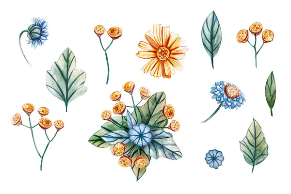 Aquarell Illustrationen Mit Pflanzen Und Blumen Für Die Hochzeit Florale — Stockfoto