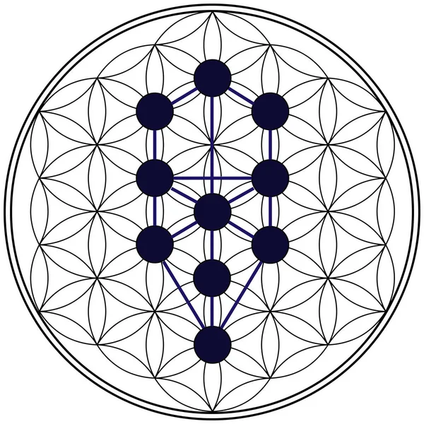 Geometria Cabala Albero Della Vita Alchimia Ebreo Numerologia Illustrazione Spirituale — Foto Stock