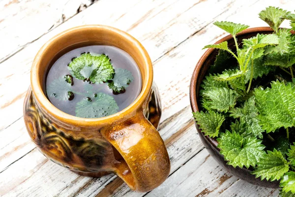 Tasse Gesunden Kräutertee Mit Brennnessel — Stockfoto