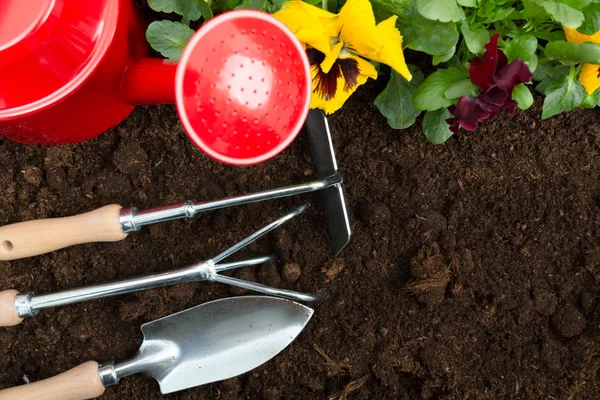 Outils Jardinage Sur Fond Sol Plantation Fleurs Printemps Dans Jardin — Photo