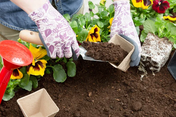 Manos Mujer Jardinero Poniendo Tierra Una Maceta Papel Plantando Flores — Foto de Stock