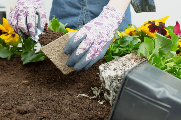 Manos Mujer Jardinero Poniendo Tierra Una Maceta Papel Plantando Flores — Foto de Stock