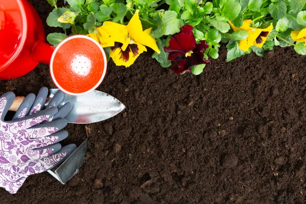 Ferramentas Jardinagem Fundo Solo Plantar Primavera Flor Cachorro Jardim Conceito — Fotografia de Stock