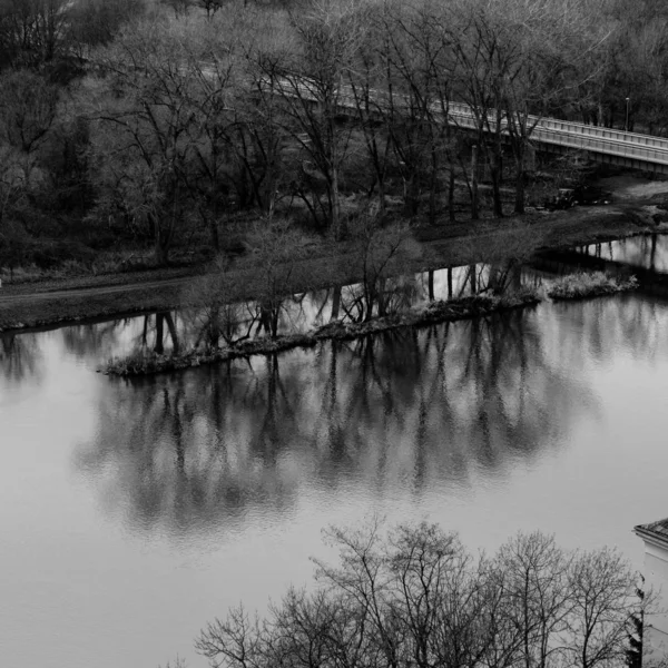 Árvores Inverno Sem Folhas Uma Pequena Ilha Espelhando Rio Donau — Fotografia de Stock