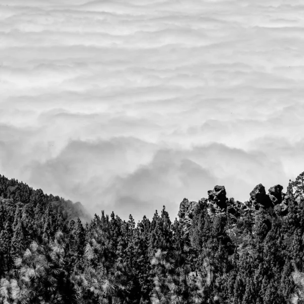 Fotografia Monocromática Vista Superior Cobertura Nuvens Que Aproxima Ilha Tenerife — Fotografia de Stock