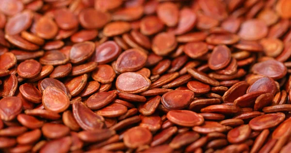 Мелкие Семена Арбуза Продукты Питания — стоковое фото