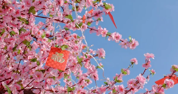Peach Blossom Red Packet Words Means Luck — Stock Photo, Image