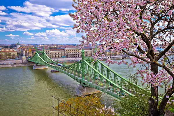 Budapest Danube River Liberty Bridge Panoramic Springtime View Capital Hungary — Stock Photo, Image