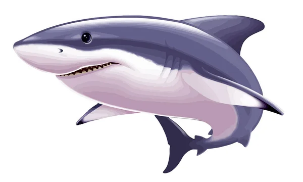 Tubarão Predador Água Salgada Poderosa Ilustração Dentes Vida Selvagem — Fotografia de Stock