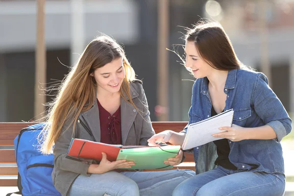 Dos Estudiantes Aprendiendo Comparar Notas Sentados Banco Parque —  Fotos de Stock