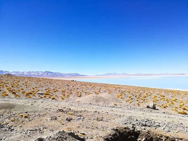 ボリビアのラグーンの風景 アグアスTermales Polques ボリビア — ストック写真