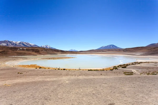 Laguna Honda Manzarası Bolivya Güzel Bir Bolivya Panoraması Mavi Gölü — Stok fotoğraf