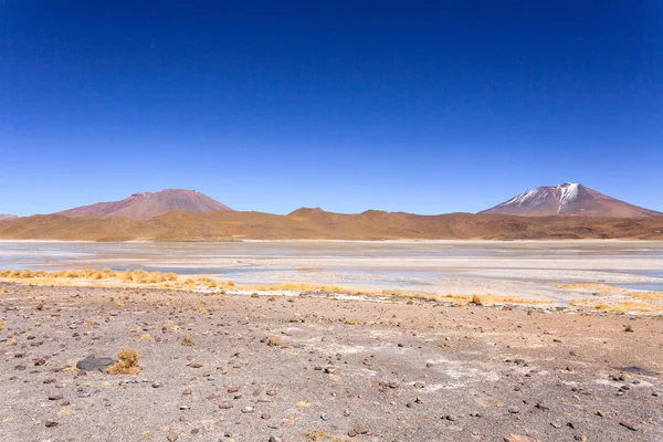 Krajobraz Laguna Hedionda Boliwia Piękna Boliwijska Panorama Błękitna Laguna — Zdjęcie stockowe