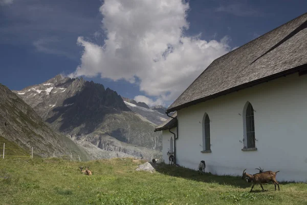 Mała Kaplica Płaskowyżu Górskim Niedaleko Belalp Alpach Szwajcarskich — Zdjęcie stockowe