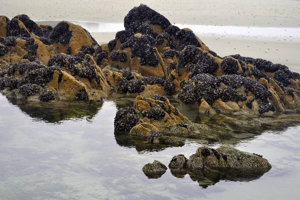 Reef Roc Após Oceano Atlântico — Fotografia de Stock