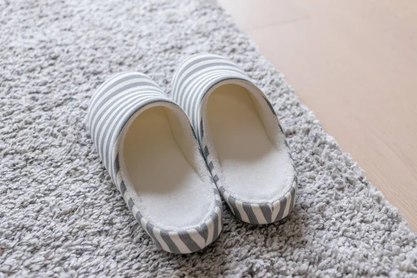 Slipper Het Tapijt — Stockfoto