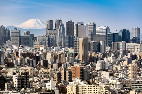 Montanha Fuji Com Skylines Tóquio Arranha Céus Edifícios Shinjuku Ward — Fotografia de Stock
