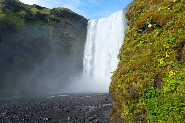 Skogafoss Padá Letní Sezóně Pohled Island Islandská Krajina — Stock fotografie