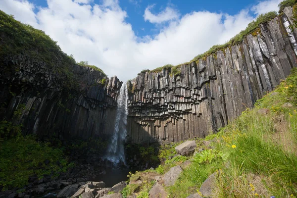 Svartifoss Esik Nyári Szezonban Kilátás Izland Izlandi Táj — Stock Fotó