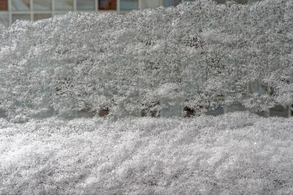 冬のウィンドウで大きな雪カバー — ストック写真
