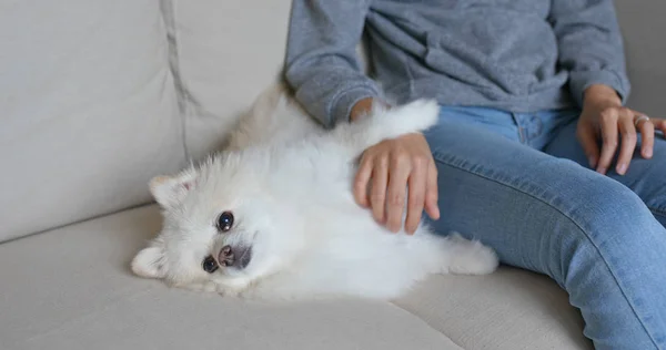 Femme Câlin Sur Son Chien Poméranien — Photo