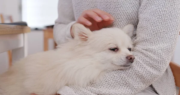 Vrouw Haar Pommeren Hond Knuffelen — Stockfoto