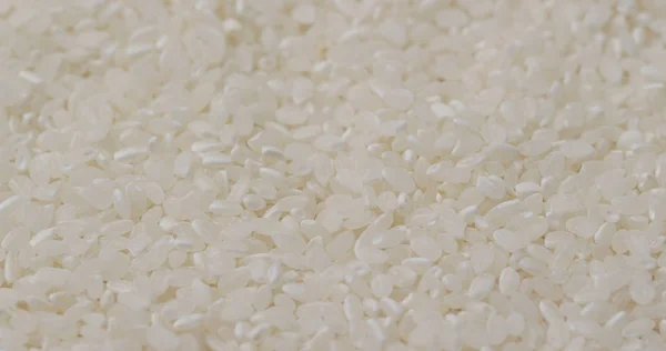 Купа Білого Рису — стокове фото