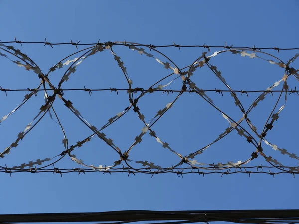 Barbed Wire Fence Blue Sky — Stock Photo, Image