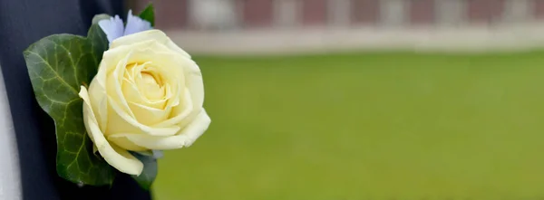 Весільна Щілина Жовтою Трояндою Чоловічому Костюмі — стокове фото