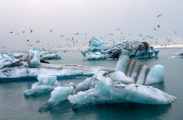 Zlanda Daki Jokulsarlon Güzel Buzul Lagün Içinde Buzdağları Jokulsarlon Ünlü — Stok fotoğraf
