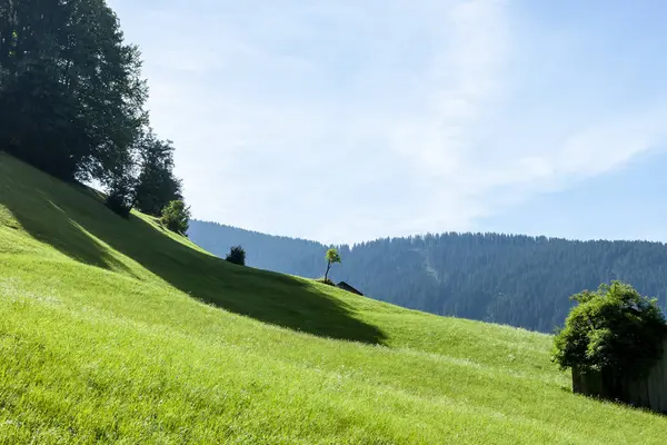 Летний Горный Пейзаж Солнечный День Австрия Альпы — стоковое фото